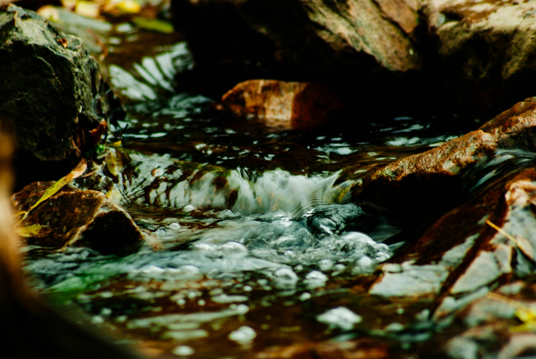 close up photography of flowing water