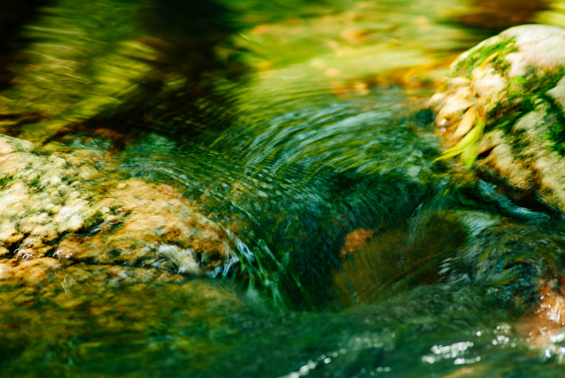 green body of water during daytime