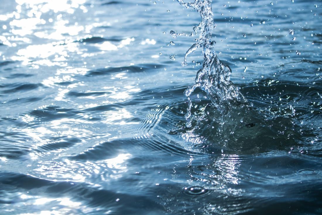 water splash in close up photography