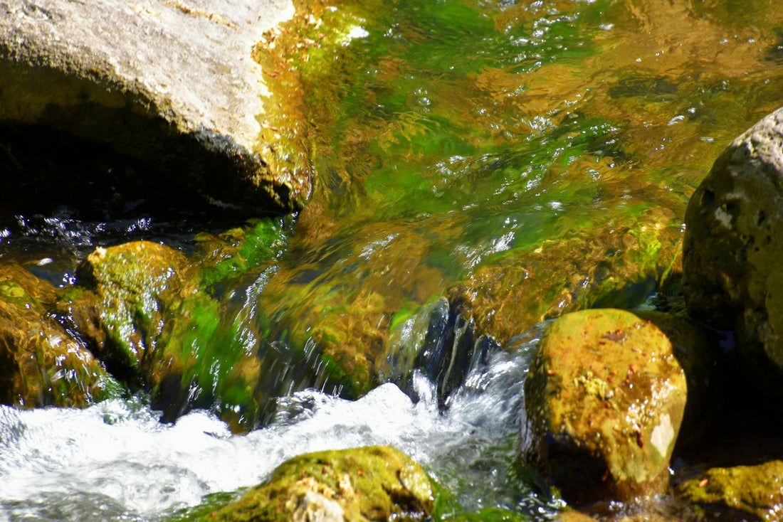 a stream of water running over rocks with moss growing on them