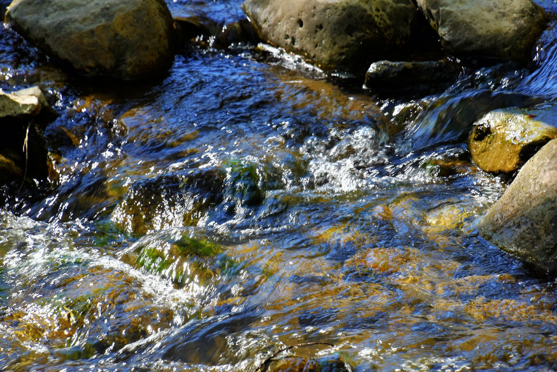 a close up of a river with rocks and water