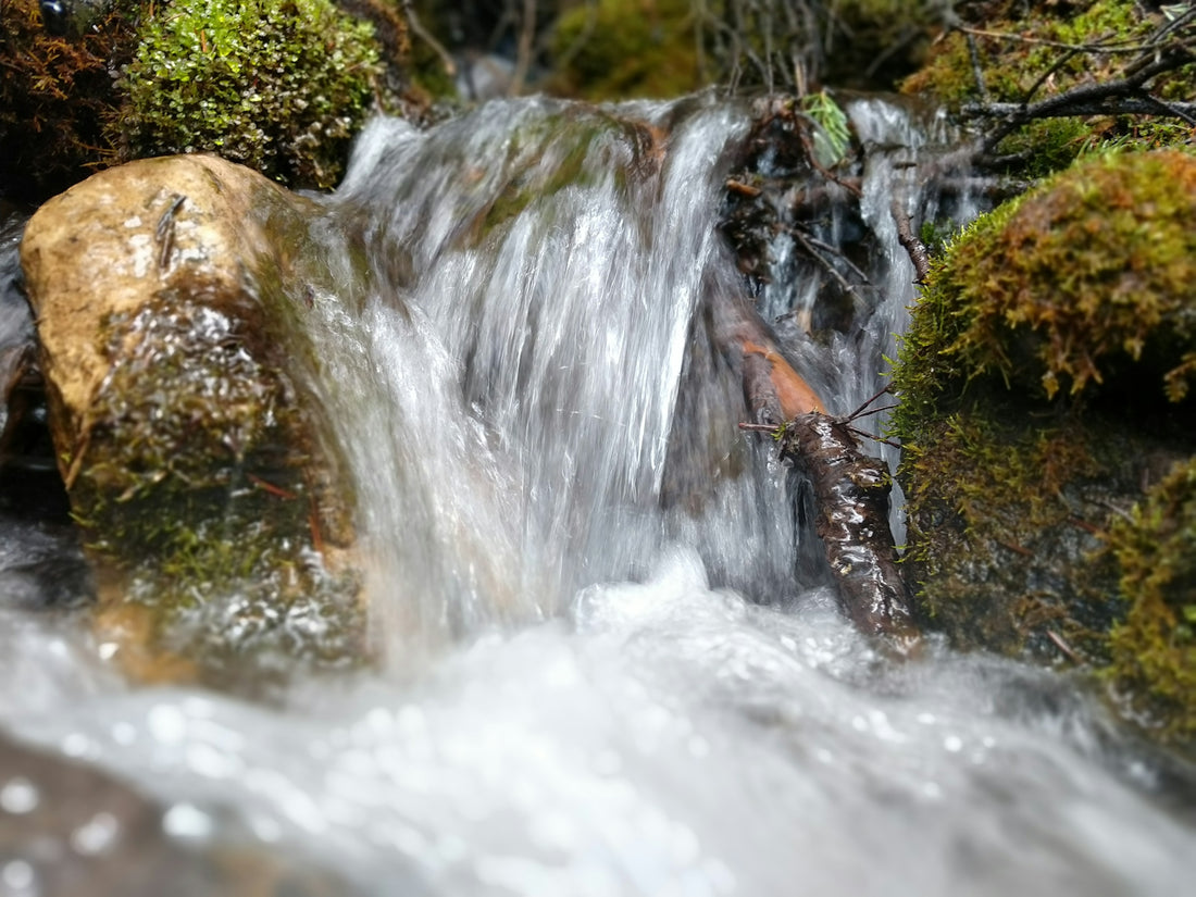 a waterfall with trees around it