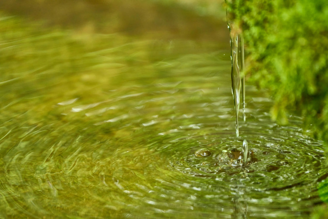 a close up of a water drop with grass in the background