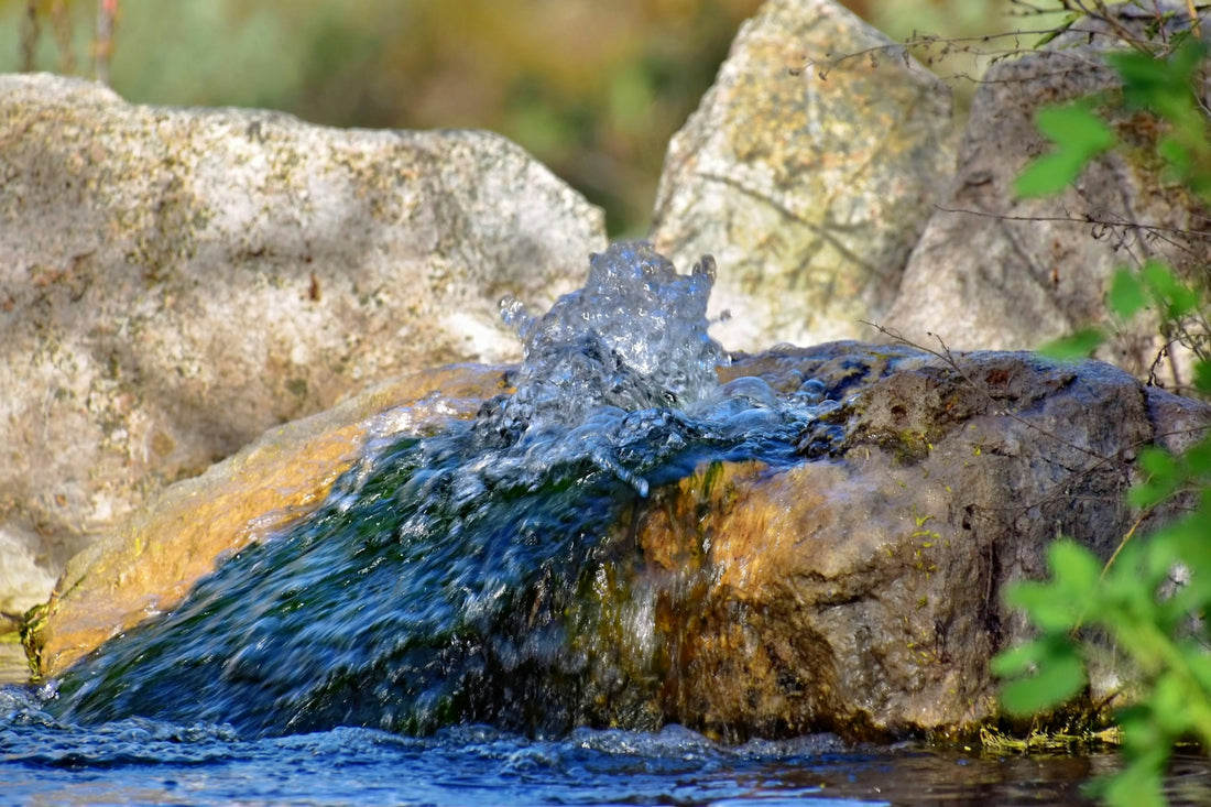 a close up of a rock with water coming out of it