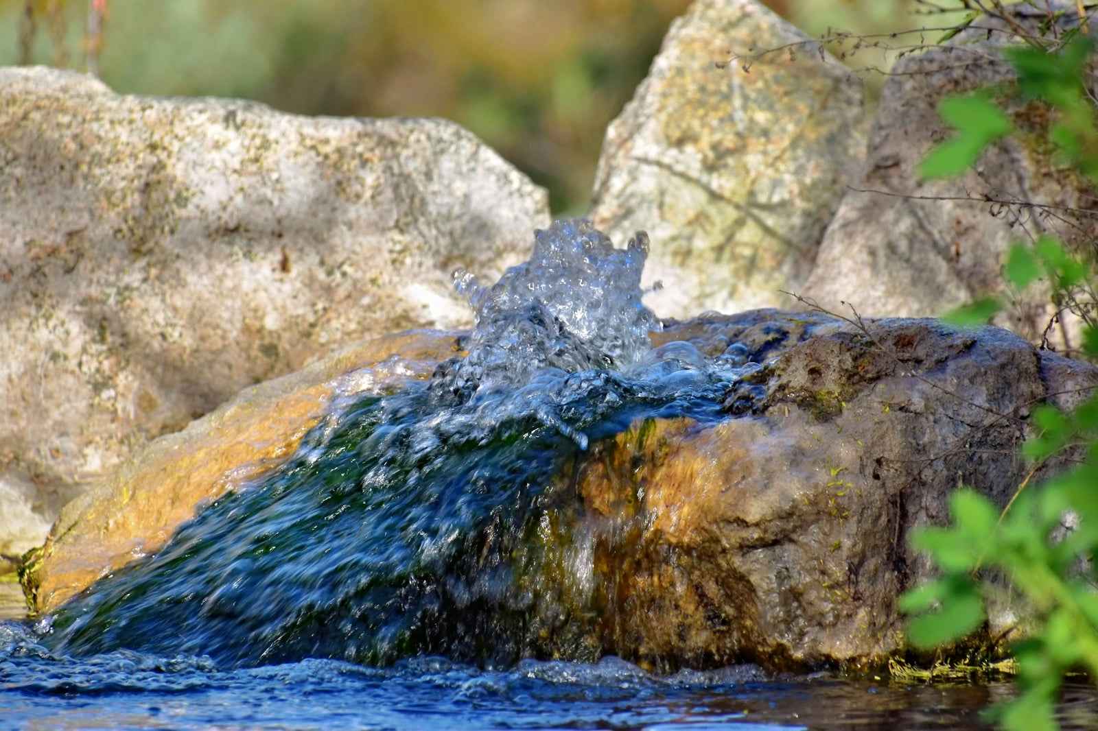 a close up of a rock with water coming out of it