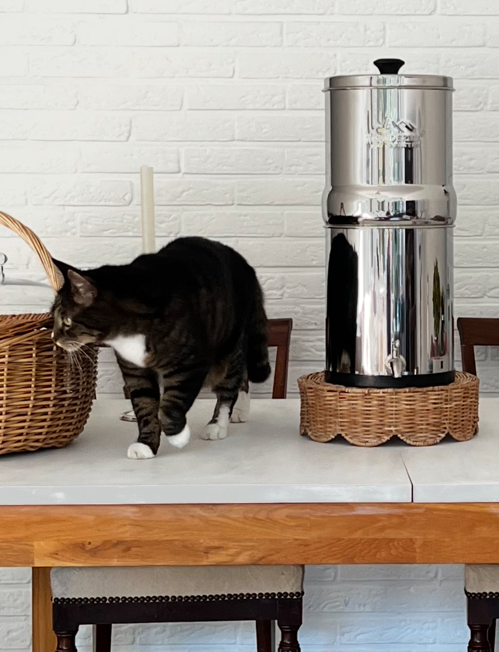 Fontaine Monderma Big 8.5L - 2 cartouches Black filters