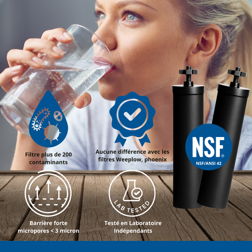 Monderma Black filters - MD-black-filter-2 filtration cartridge