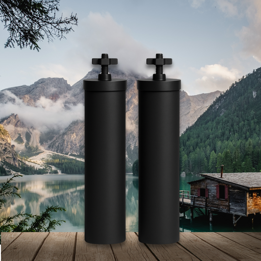 Monderma Black filters - cartouche filtration MD-black-filter-2